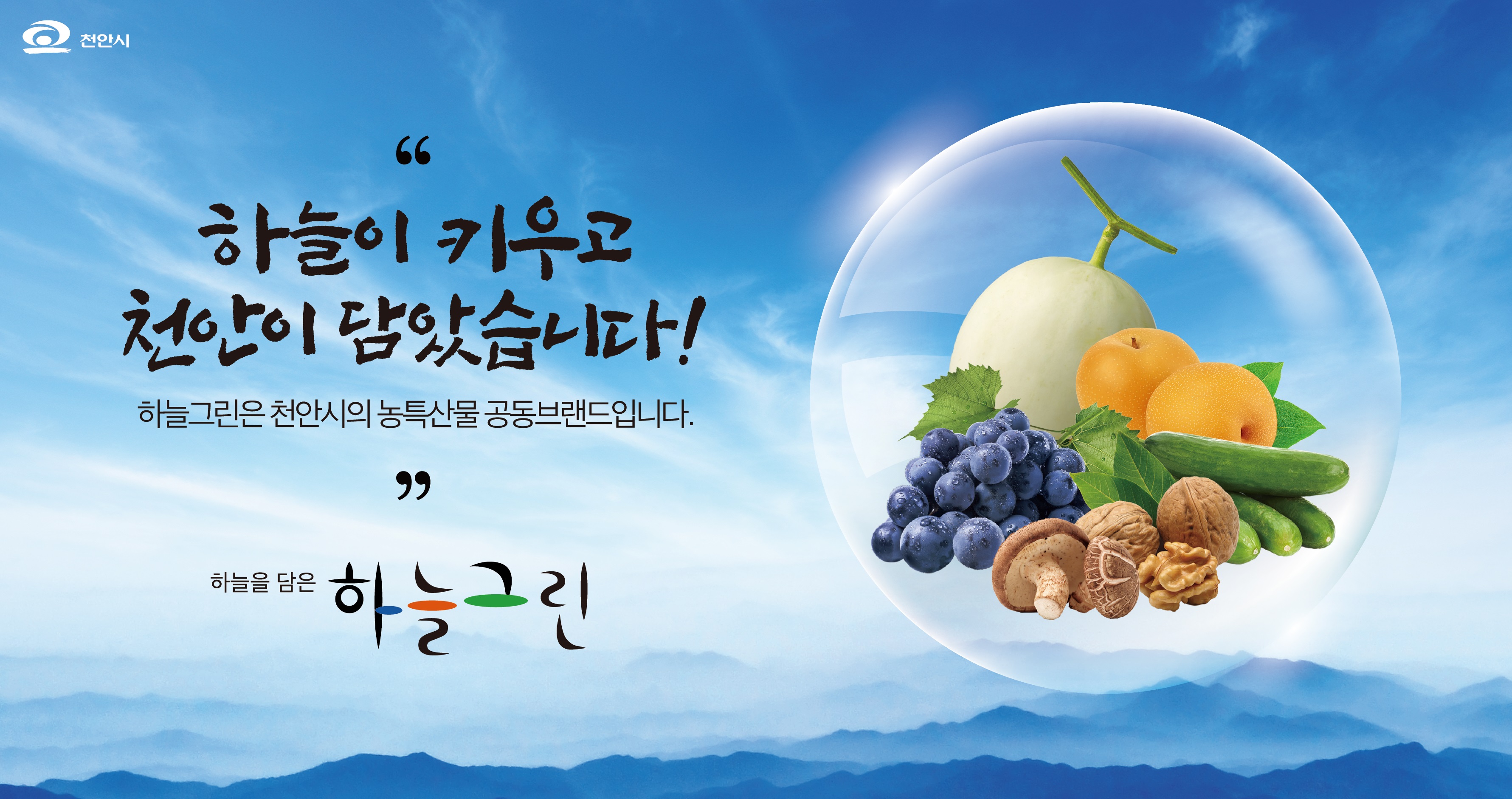 하늘그린
